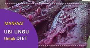 manfaat ubi ungu untuk diet